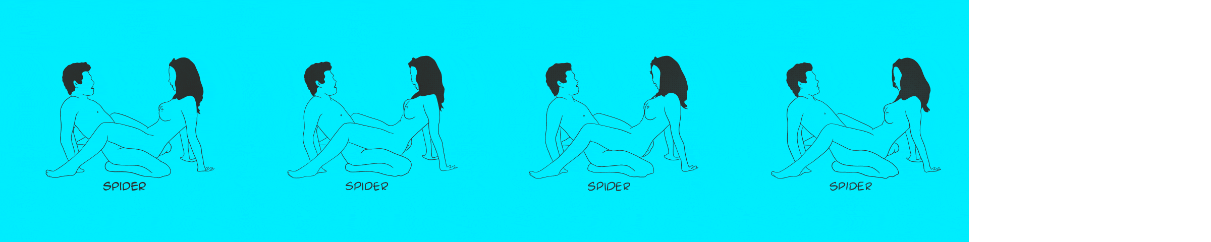 Illustration for The Spider and its prey